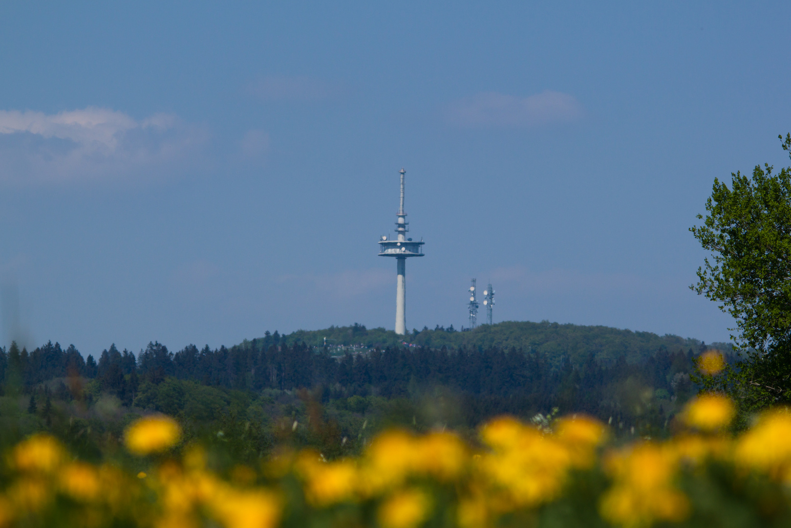 Vogelsberg