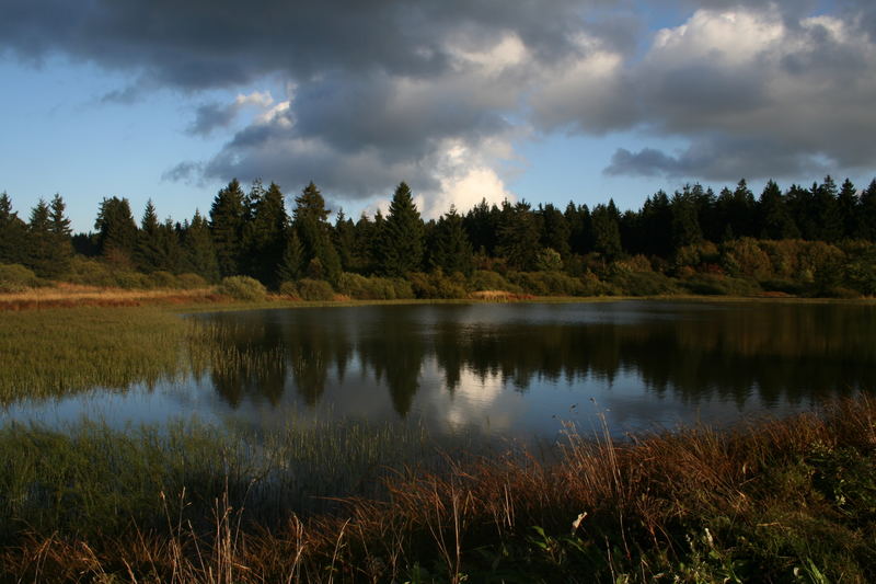 Vogelsberg - Forellenteiche