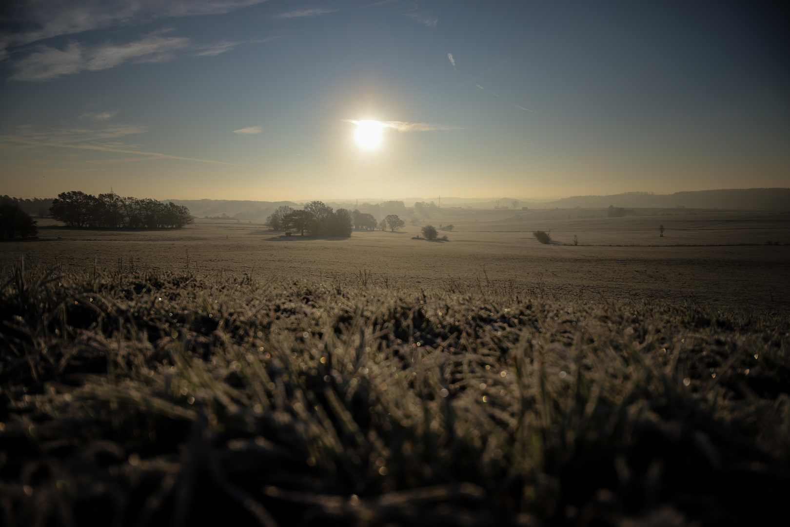 Vogelsberg im Morgenschein