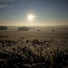 Vogelsberg im Morgenschein