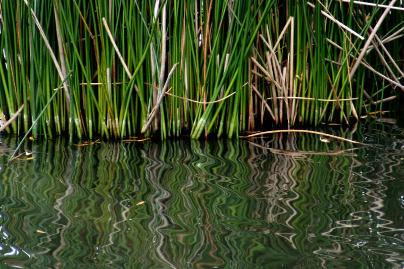 Vogelsberg - Nieder-Mooser See