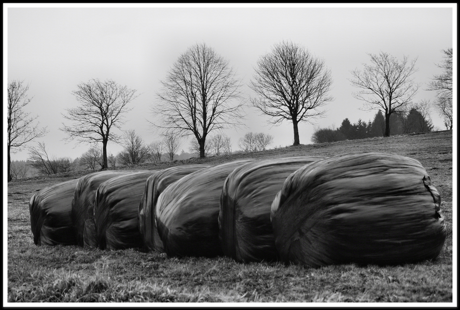 Vogelsberger Landschaft