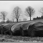 Vogelsberger Landschaft