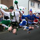 Vogelsberg/Herbstein - Springerzug am Rosenmontag (2)