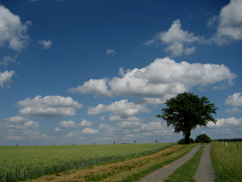 Vogelsberg/Hessen: Bei Frischborn