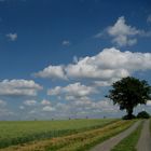 Vogelsberg/Hessen: Bei Frischborn