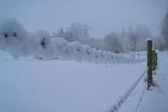 Vogelsberg_Winter