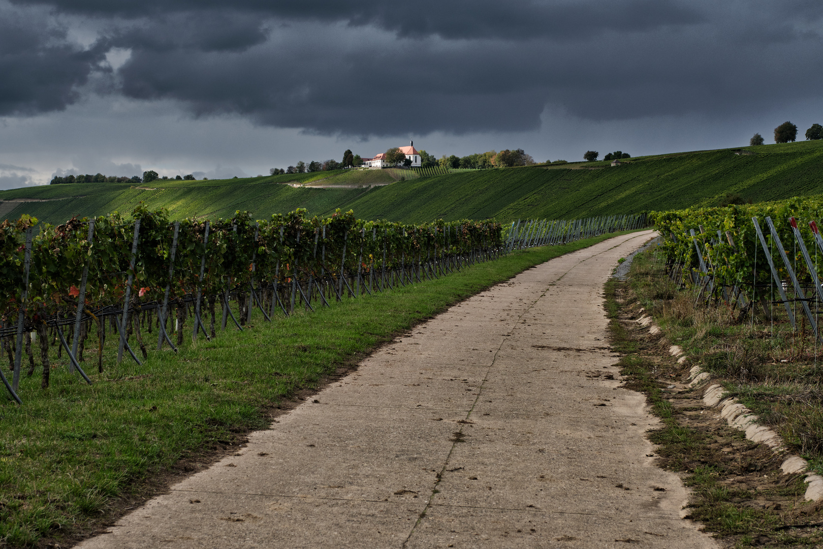 Vogelsburg bei Escherndorf in der Mainschleife