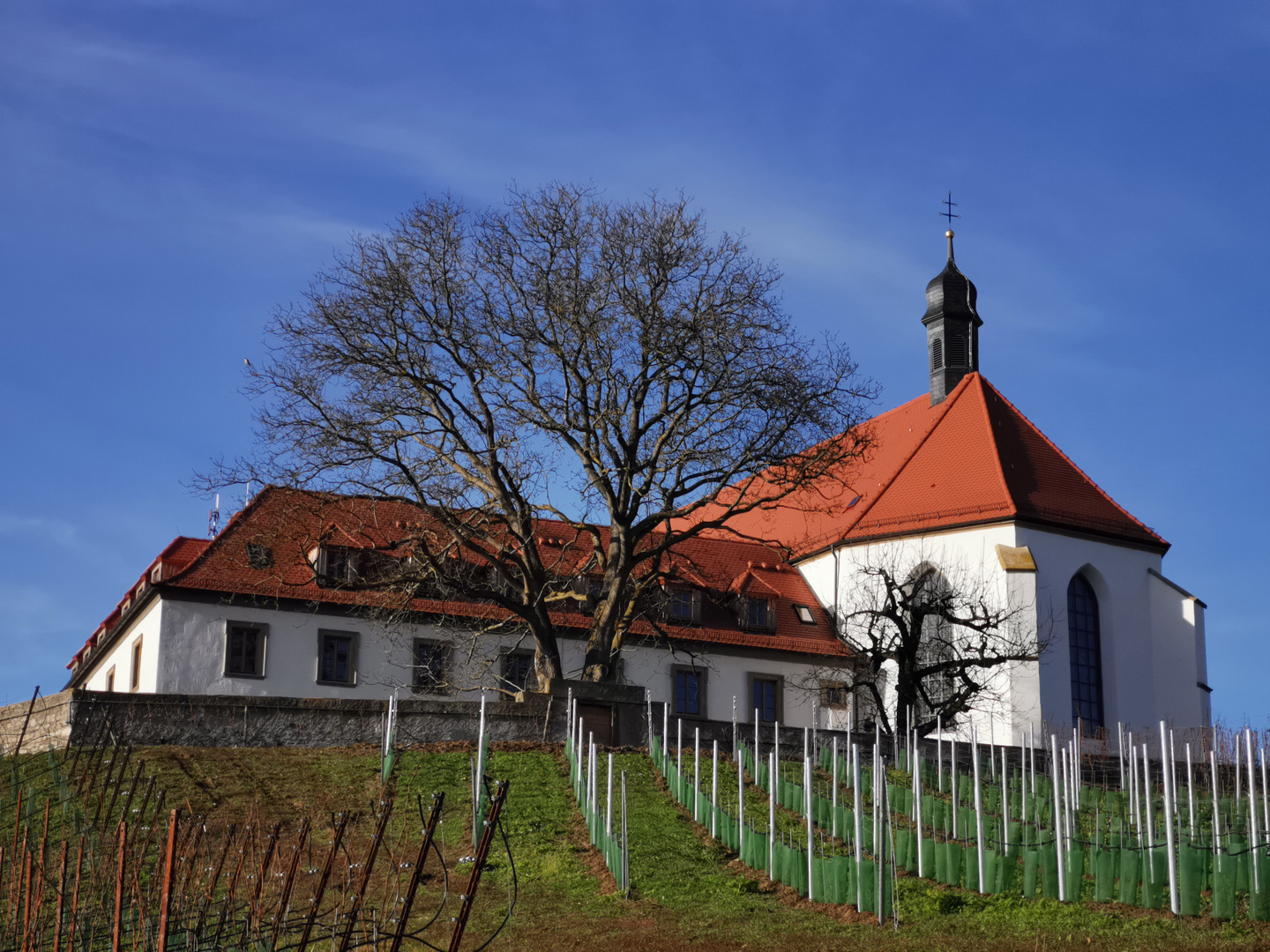 Vogelsburg bei Volkach