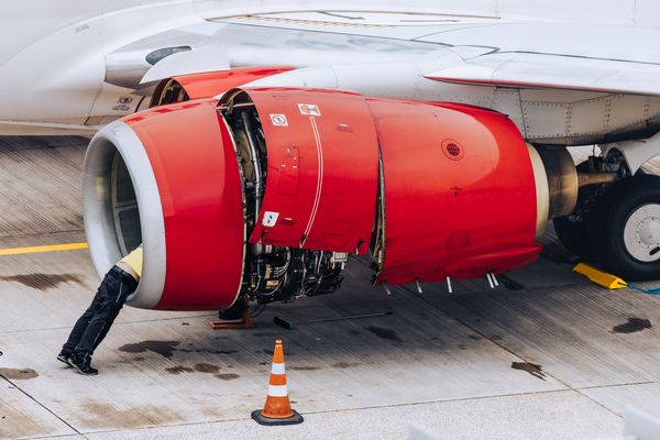 *Vogelschlag vs. Menschenschlag*