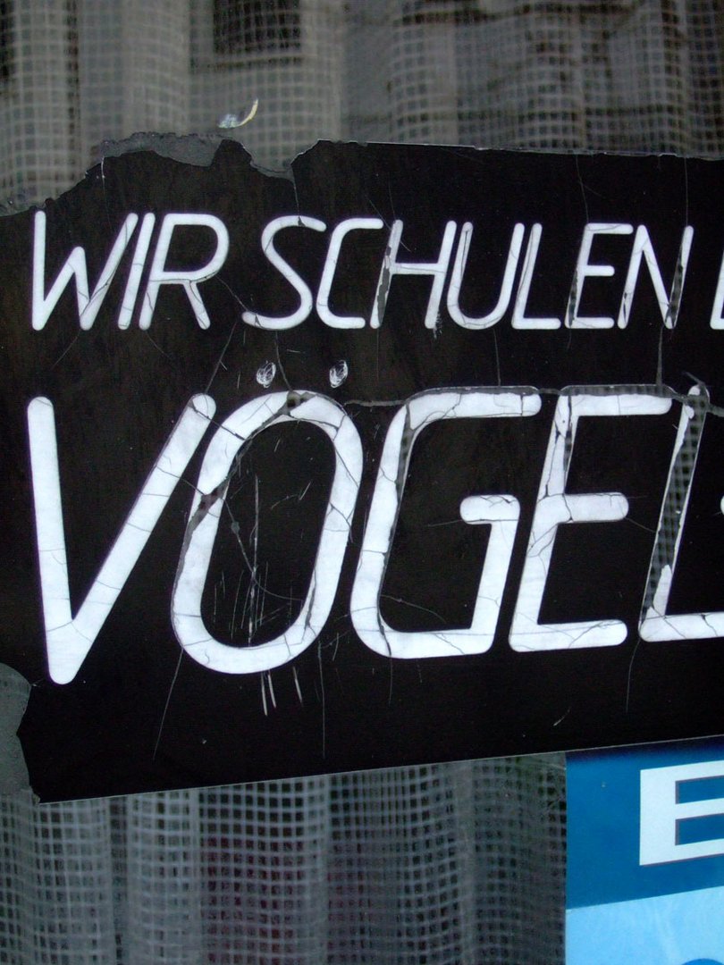 vogelschule