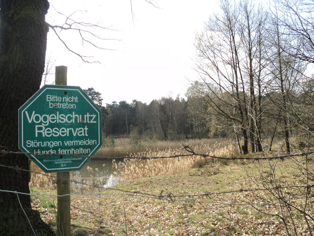 Vogelschutz im Tegeler Forst