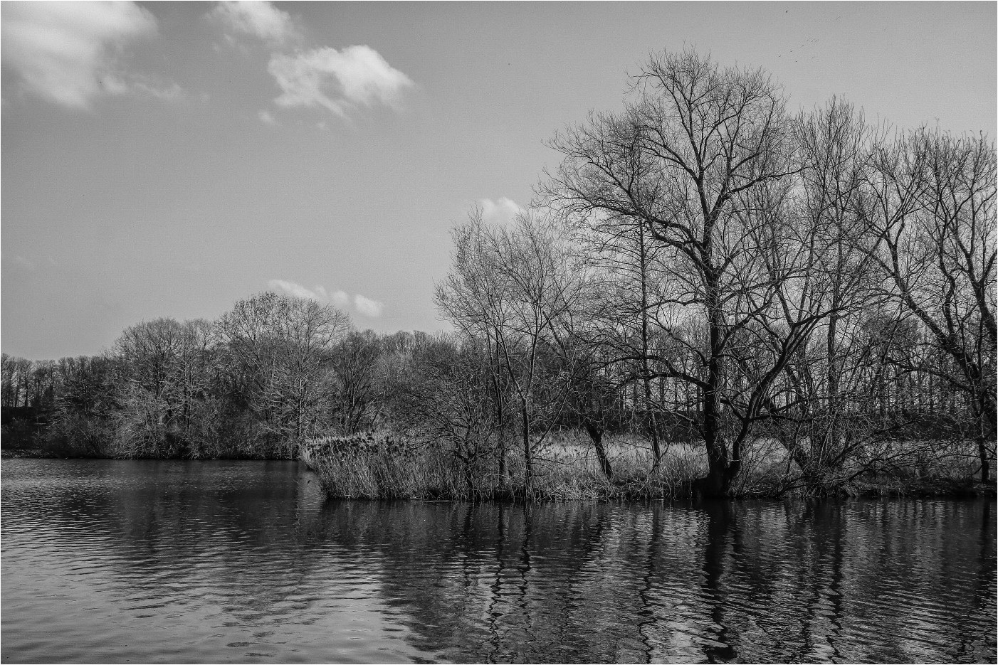 Vogelschutzgebiet Foto & Bild | art, world, wasser Bilder auf fotocommunity