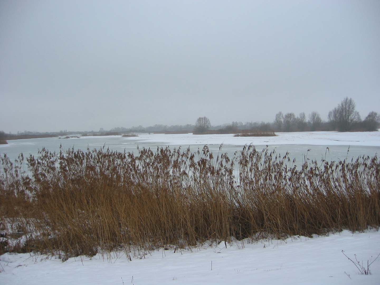 Vogelschutzgebiet Altmühlsee