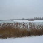 Vogelschutzgebiet Altmühlsee