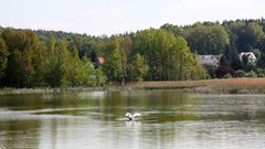 Vogelschutzgebiet am Hainspitzer See