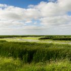 Vogelschutzgebiet bei Schillig, Südnordsee