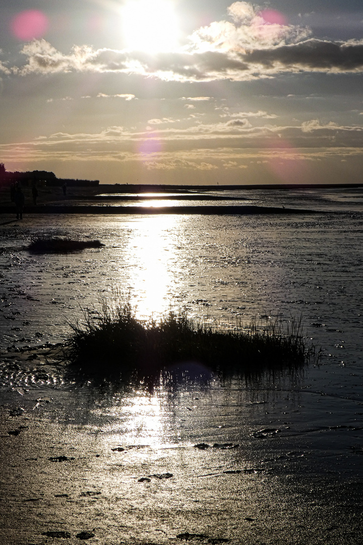 vogelschutzgebiet cuxhaven