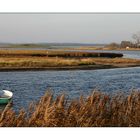 Vogelschutzgebiet "Fauler See" auf Poel