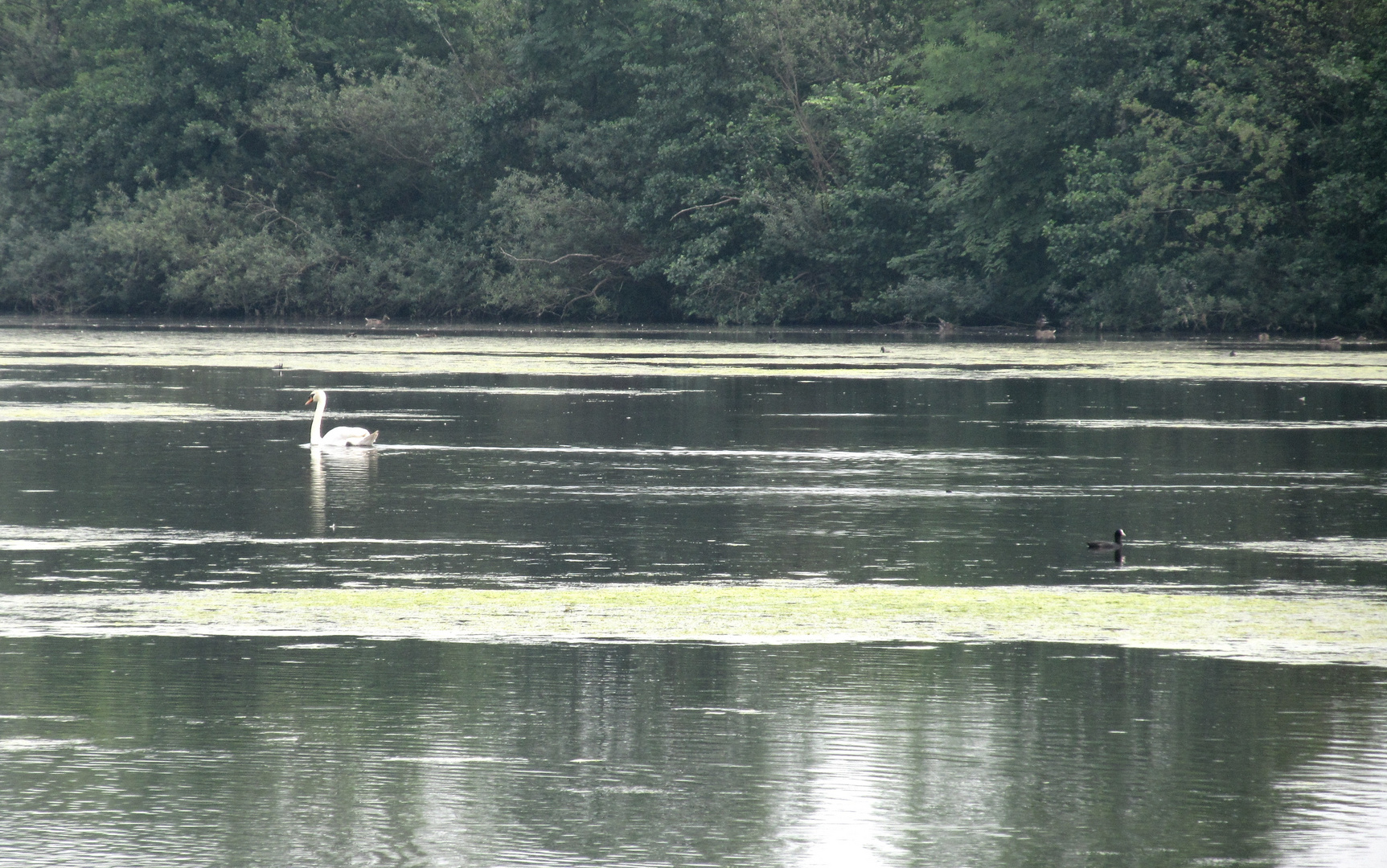 Vogelschutzgebiet Hemmoor ......