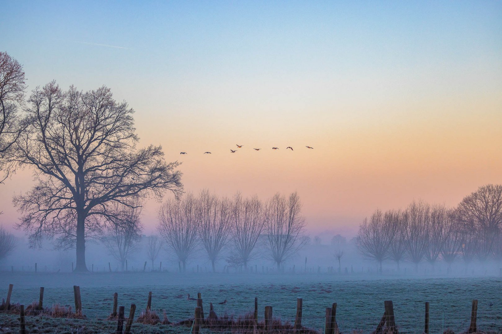 Vogelschutzgebiet Nette / Bird sanctuary Nette