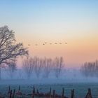 Vogelschutzgebiet Nette / Bird sanctuary Nette