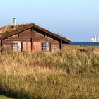 Vogelschutzgebiet Oehe-Schleimünde