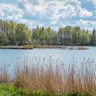 Vogelschutzinsel im Bernsteinsee