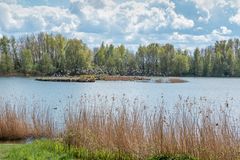 Vogelschutzinsel im Bernsteinsee