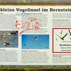 Vogelschutzinsel im Bernsteinsee