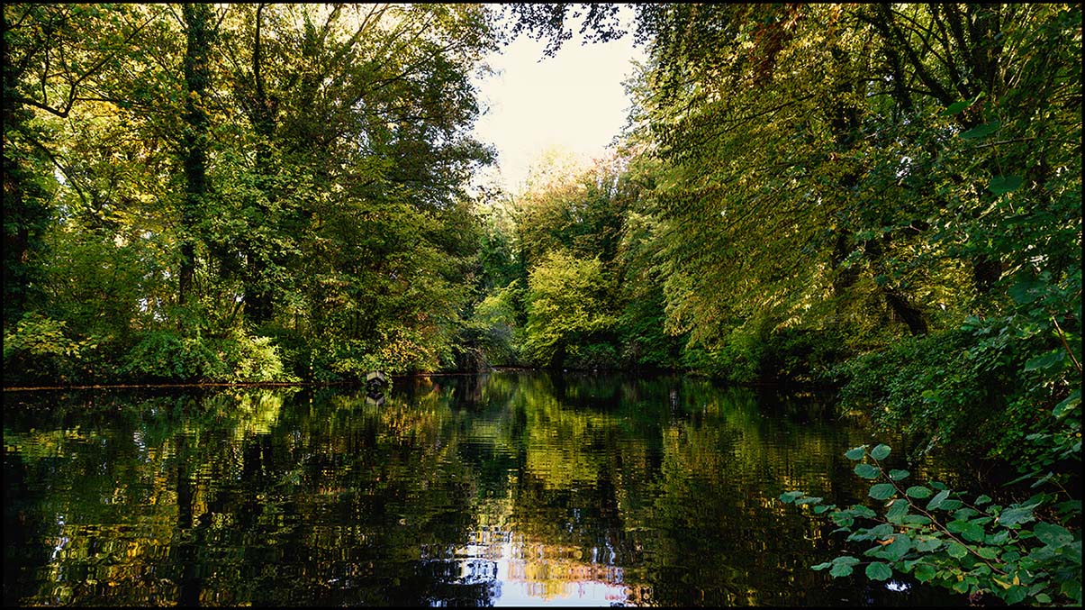 Vogelschutzpark #1