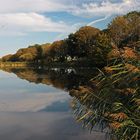 Vogelschwarm überm Wasser