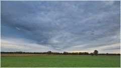 Vogelschwarm und grauer Himmel