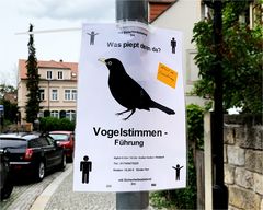 Vogelstimmenführung mit Sicherheitsabstand 2m