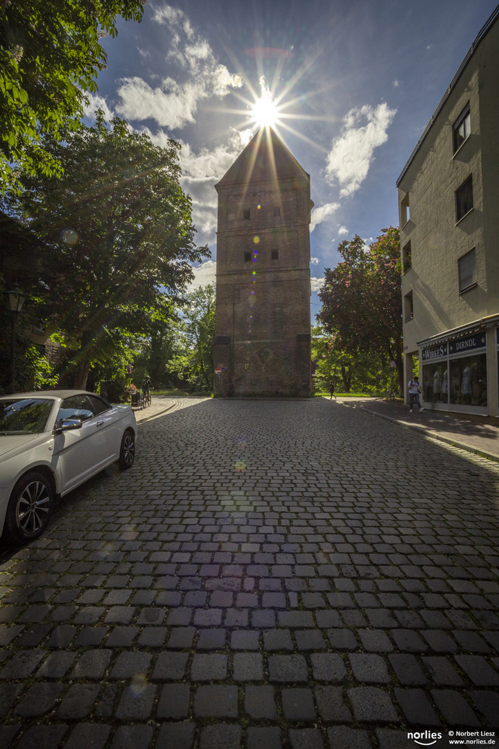 Vogeltor im Gegenlicht