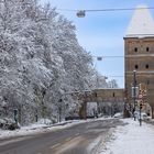 Vogeltor im Winter