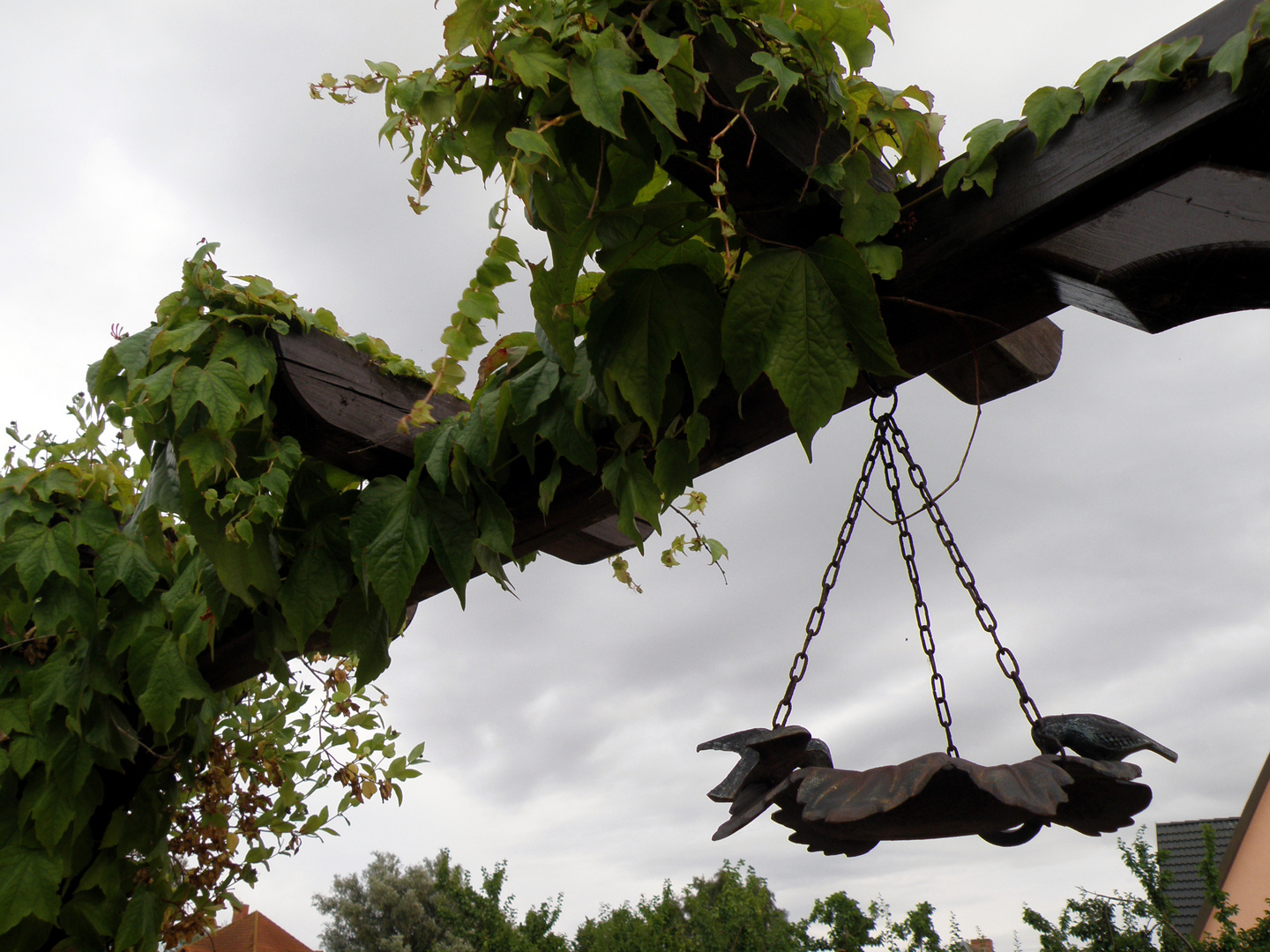 Vogeltränke an der Pergola