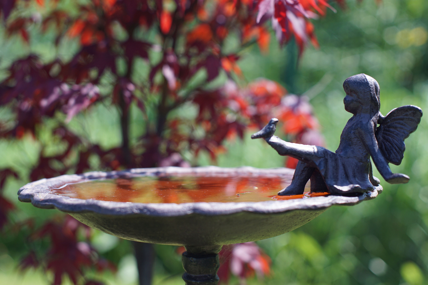 Vogeltränke im Garten