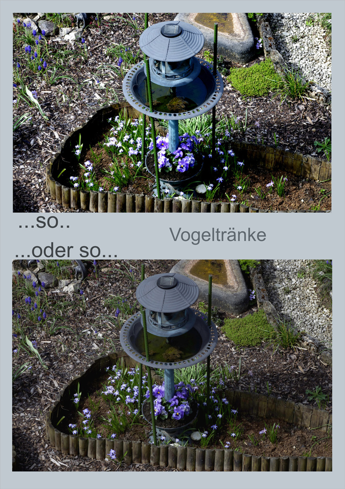 Vogeltränke im Garten