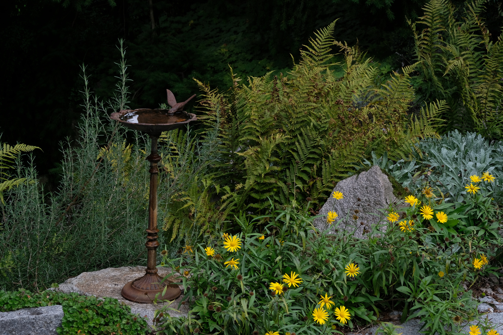 Vogeltränke im Steingarten "Marcus Garten" 