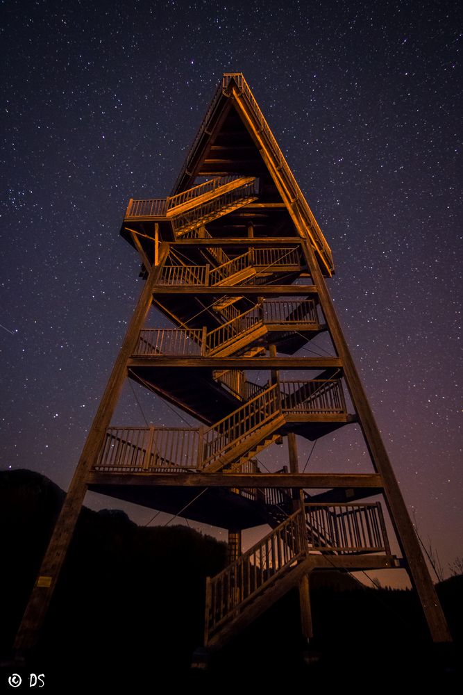 Vogelturm bei Nacht