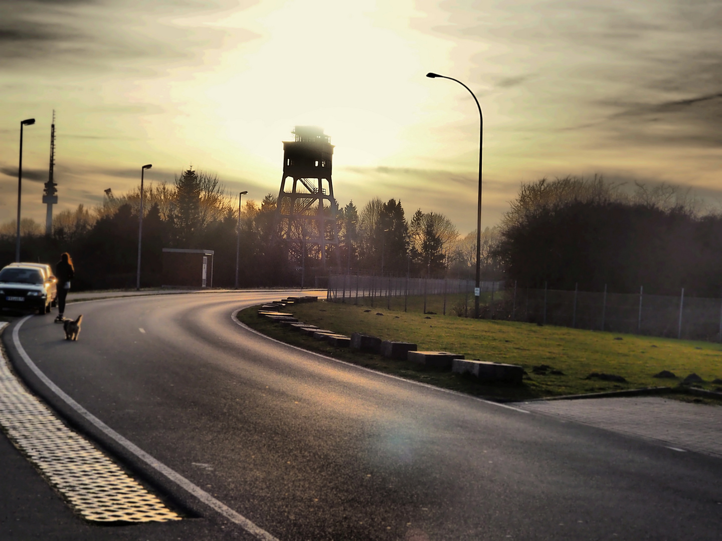 Vogelwarte im Dunst