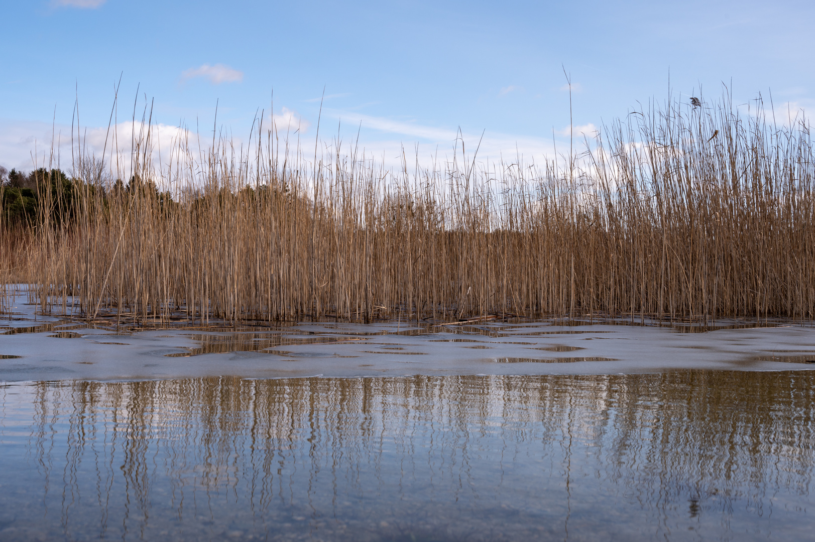 Vogelweiher 