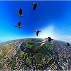 Vogelzug über Bremen (Aerial panorama)