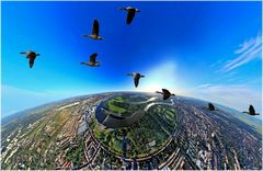 Vogelzug über Bremen (Aerial panorama)