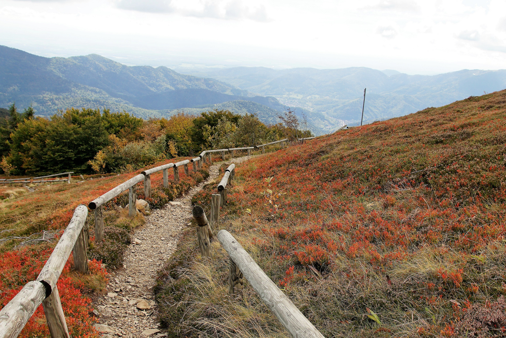 Vogesen Grand Ballon 