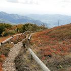 Vogesen Grand Ballon 