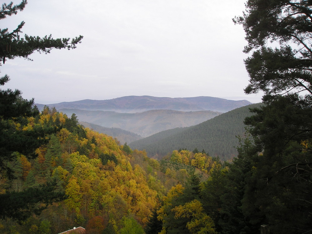 Vogesen im Herbst