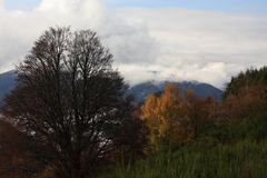 Vogesen im Herbst