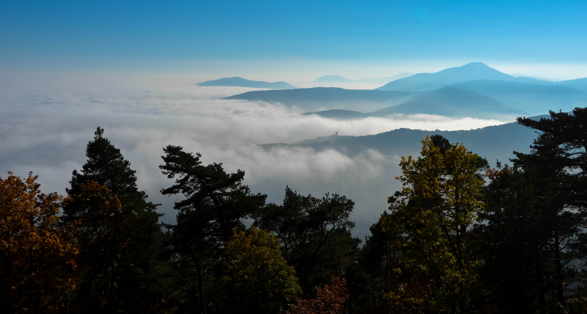 Vogesen im Nebel